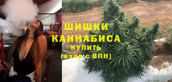PSILOCYBIN Алзамай