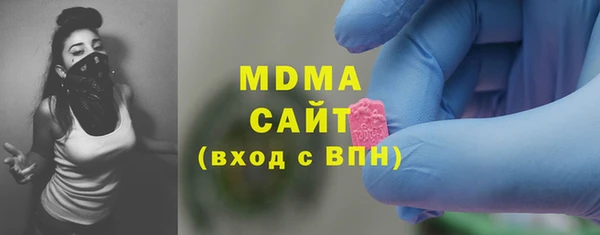 МДПВ Пересвет