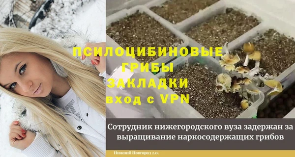 PSILOCYBIN Алзамай