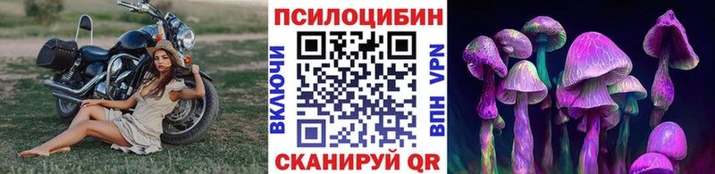 Галлюциногенные грибы Magic Shrooms  Перевоз 